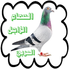 الحمام الزاجل العربي icon