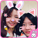 Cat Face Filters and Sticker APK
