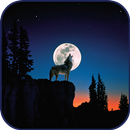 10000 WildLife Wallpapers APK