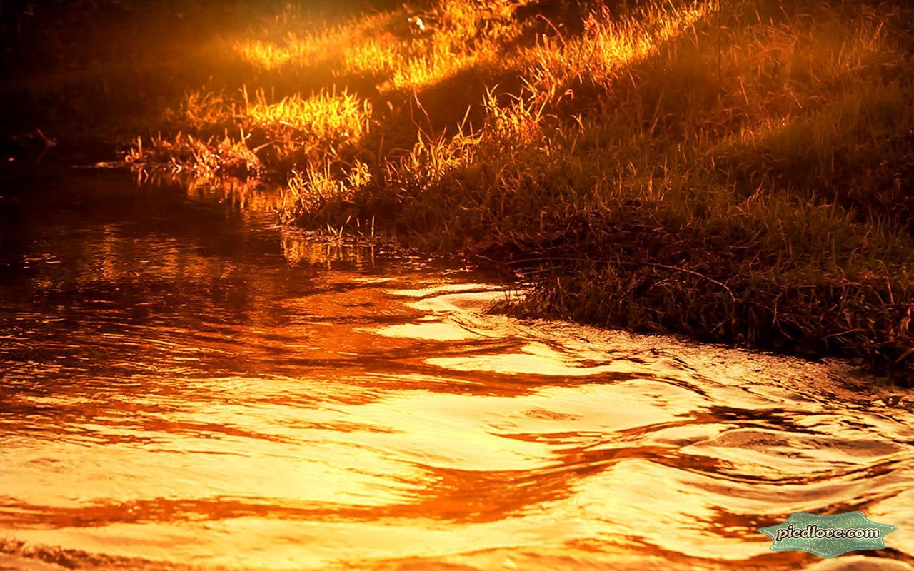 Речки с золотом. Золотая река. Золотая река арт. Золотистая река. Фотография речка Золотая.