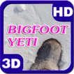 Yeti Snow Ice Drifting