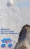 Poster Yeti Snow Ice Drifting