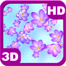 Crocus Bloom Colorful Buds on Spring Wind APK