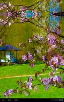 Zen Sakura House in Garden скриншот 1