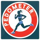 Icona Pedometer Pro