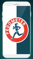 Poster Pedometer Pro