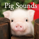 Pig Sounds APK