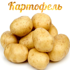 Картофель ไอคอน