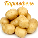Картофель simgesi