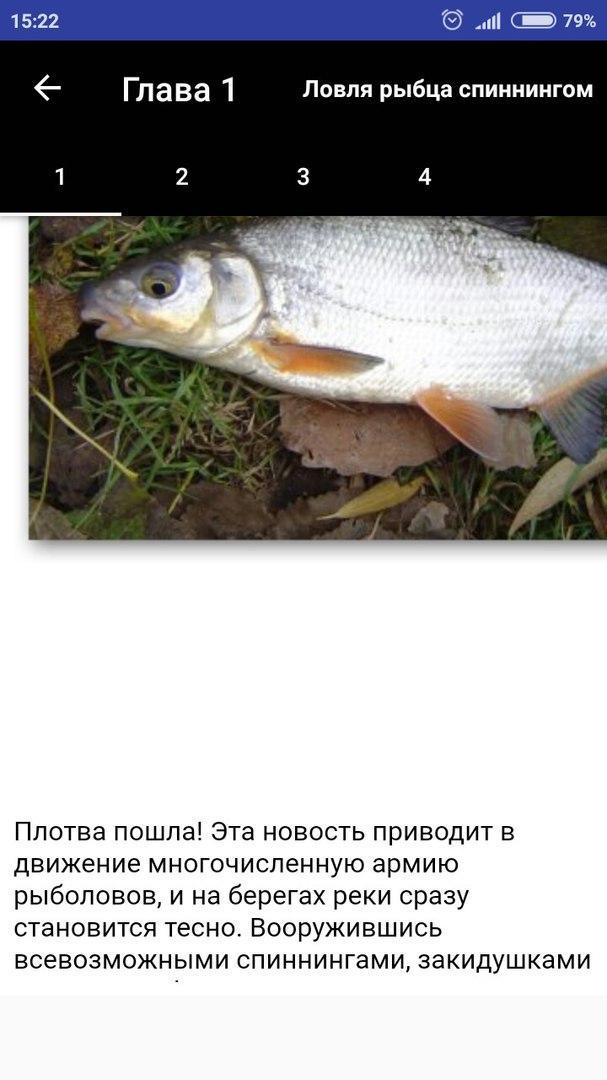 На что ловить рыбца