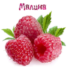 Малина ไอคอน