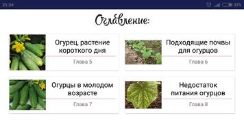 Огурцы screenshot 3