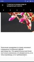 1 Schermata Орхидеи