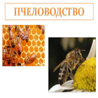 Пчеловодство icon