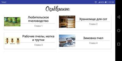 Пчеловодство スクリーンショット 3