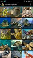 Turtle Wallpapers โปสเตอร์