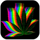 Fondos de Pantalla Marihuana icône