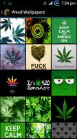 Fondos de Pantalla Marihuana Affiche