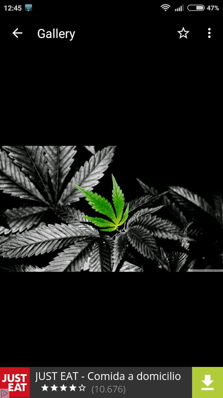Weed Wallpapers Hd For Android Apk Download