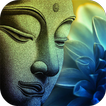 Buddha Wallpapers