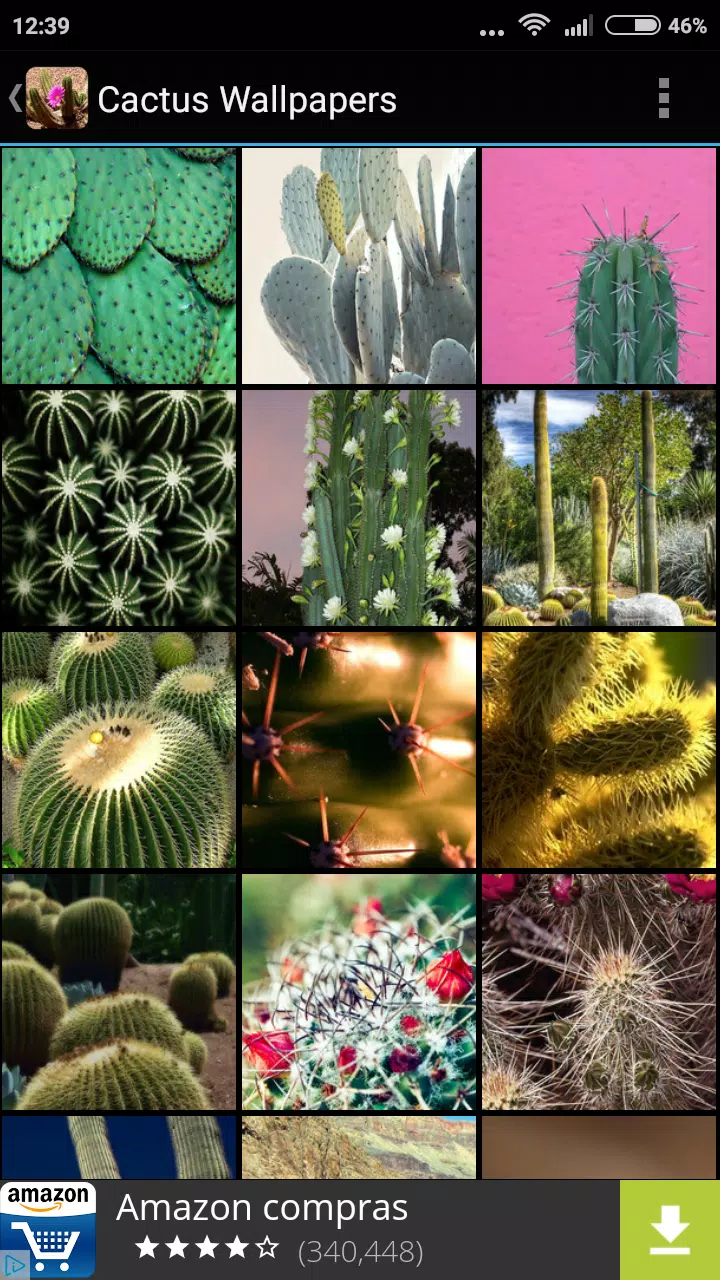 Fondos de Pantalla Cactus APK للاندرويد تنزيل Fondos de Pantalla Cactus APK للاندرويد تنزيل