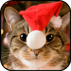 Fondos Gatitos Navidad أيقونة