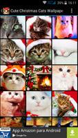 Fondos Gatitos Navidad poster