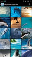 Poster Fondos de Pantalla Delfines