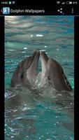 Fondos de Pantalla Delfines スクリーンショット 2