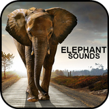 Sonidos de Elefante icône
