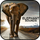 Sonidos de Elefante simgesi