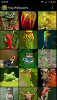 Frog Wallpapers โปสเตอร์