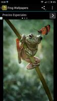 برنامه‌نما Frog Wallpapers عکس از صفحه