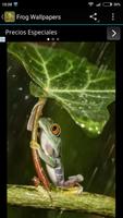 Frog Wallpapers ภาพหน้าจอ 3