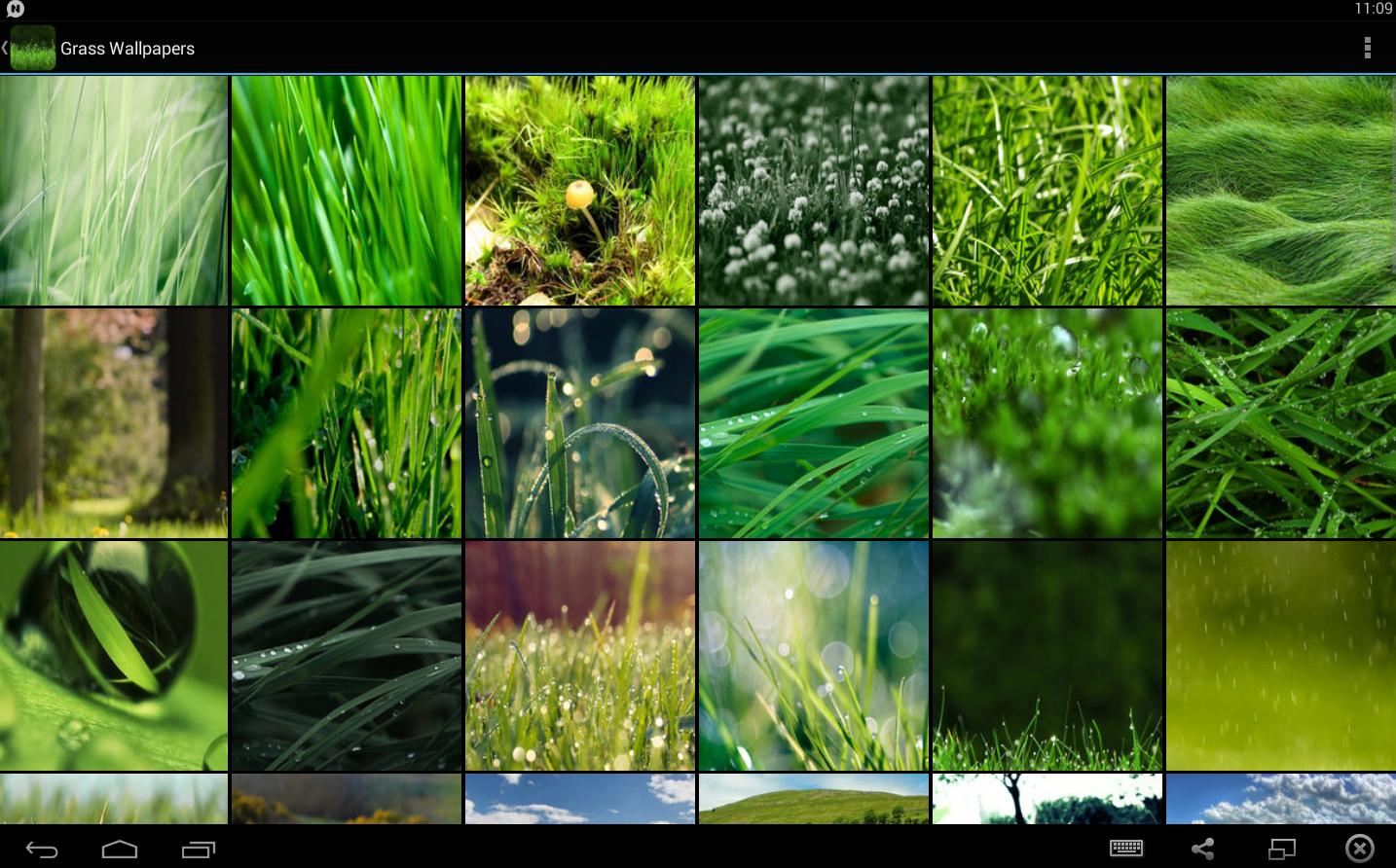 Descarga de APK de Fondos de Pantalla Césped para Android Descarga de APK de Fondos de Pantalla Césped para Android