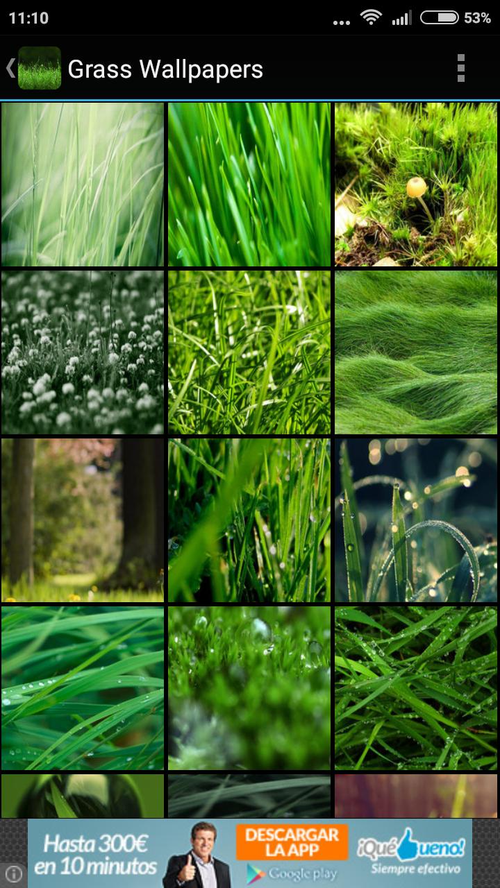 Descarga de APK de Fondos de Pantalla Césped para Android Descarga de APK de Fondos de Pantalla Césped para Android
