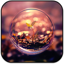 APK Nature Wallpapers