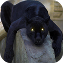 Fondos de Pantalla Pantera HD APK