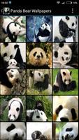 Panda Bear Wallpapers پوسٹر