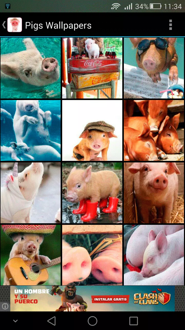 Descarga de APK de Fondos de Pantalla de Cerditos para Android Descarga de APK de Fondos de Pantalla de Cerditos para Android