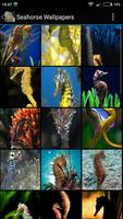 Seahorse Wallpapers 포스터