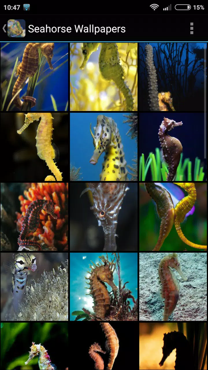 Download do APK de Fondos Pantalla Caballo de Mar para Android Download do APK de Fondos Pantalla Caballo de Mar para Android