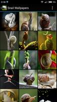 Snail Wallpapers پوسٹر