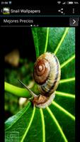 Snail Wallpapers 스크린샷 3