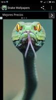 Fondos de Pantalla Serpiente 截图 2