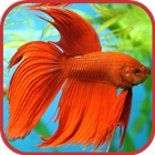 Aquarium Fish Freshwater icon