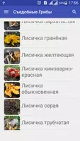 Собирать Грибы Съедобные imagem de tela 1