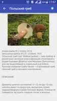 Собирать Грибы Съедобные imagem de tela 2