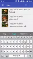 Собирать Грибы Съедобные imagem de tela 5