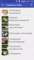 Собирать Грибы Съедобные imagem de tela 7
